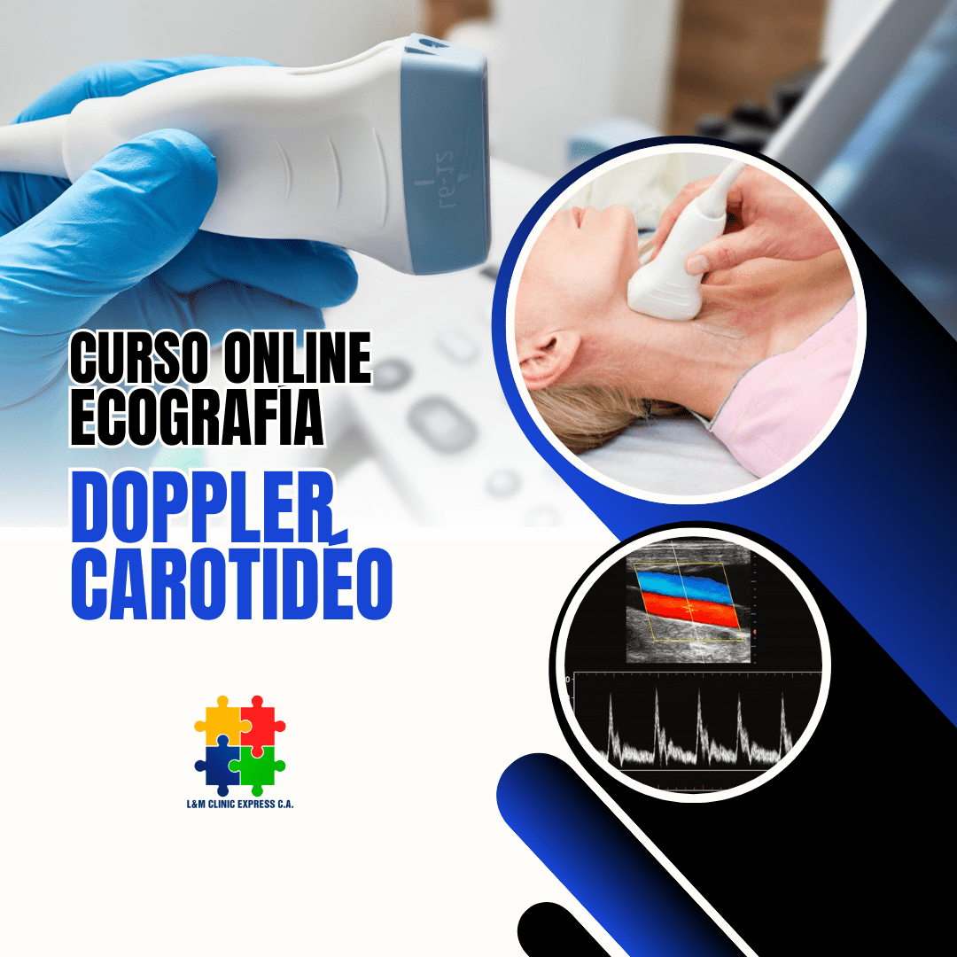 Material Teórico para el Curso de Ecografía Vascular Doppler Carotídeo