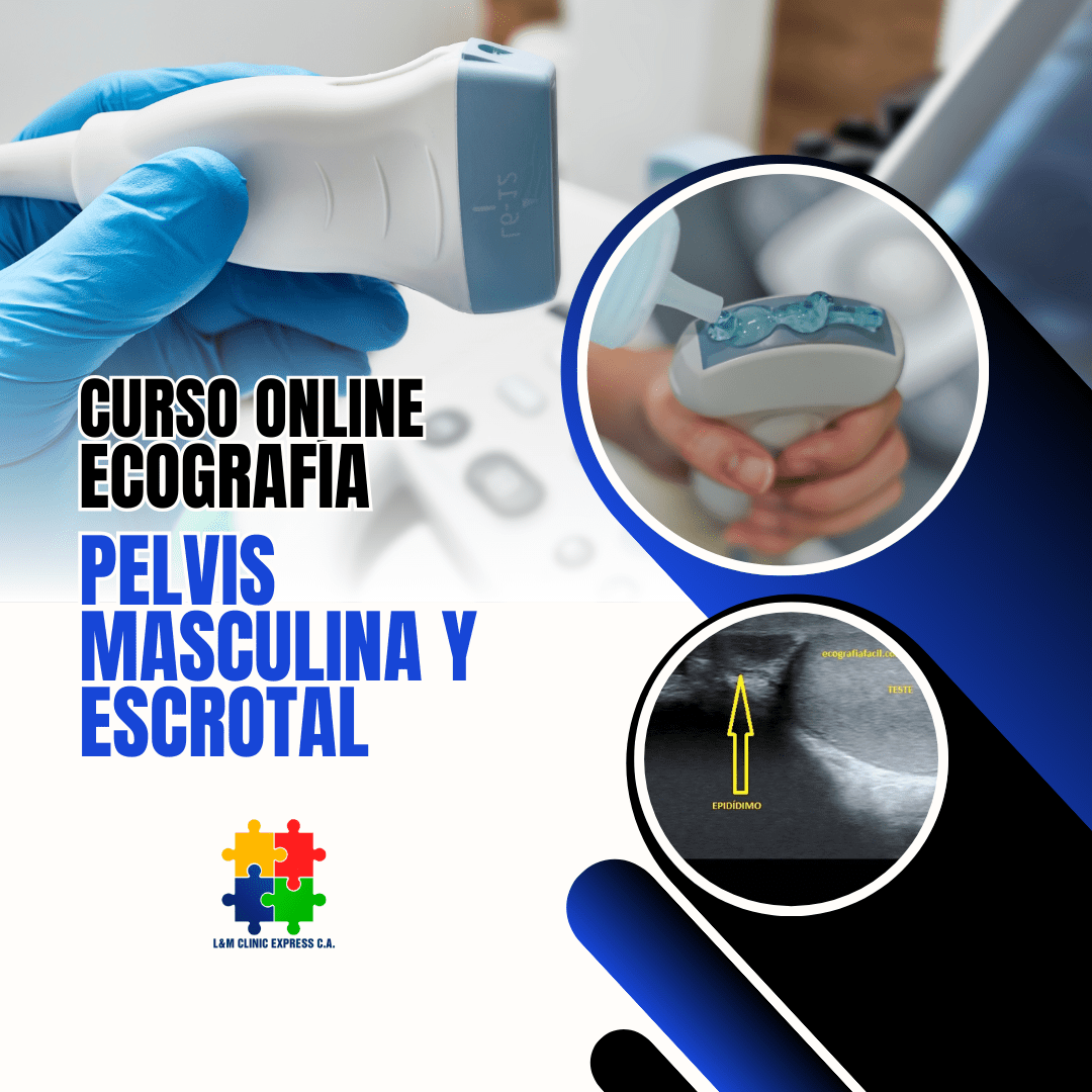 Material Teórico para el Curso de Ecografía de Pelvis Masculina y Escrotal: Diagnóstico de Precisión y Guía Clínica para el Profesional de la Salud