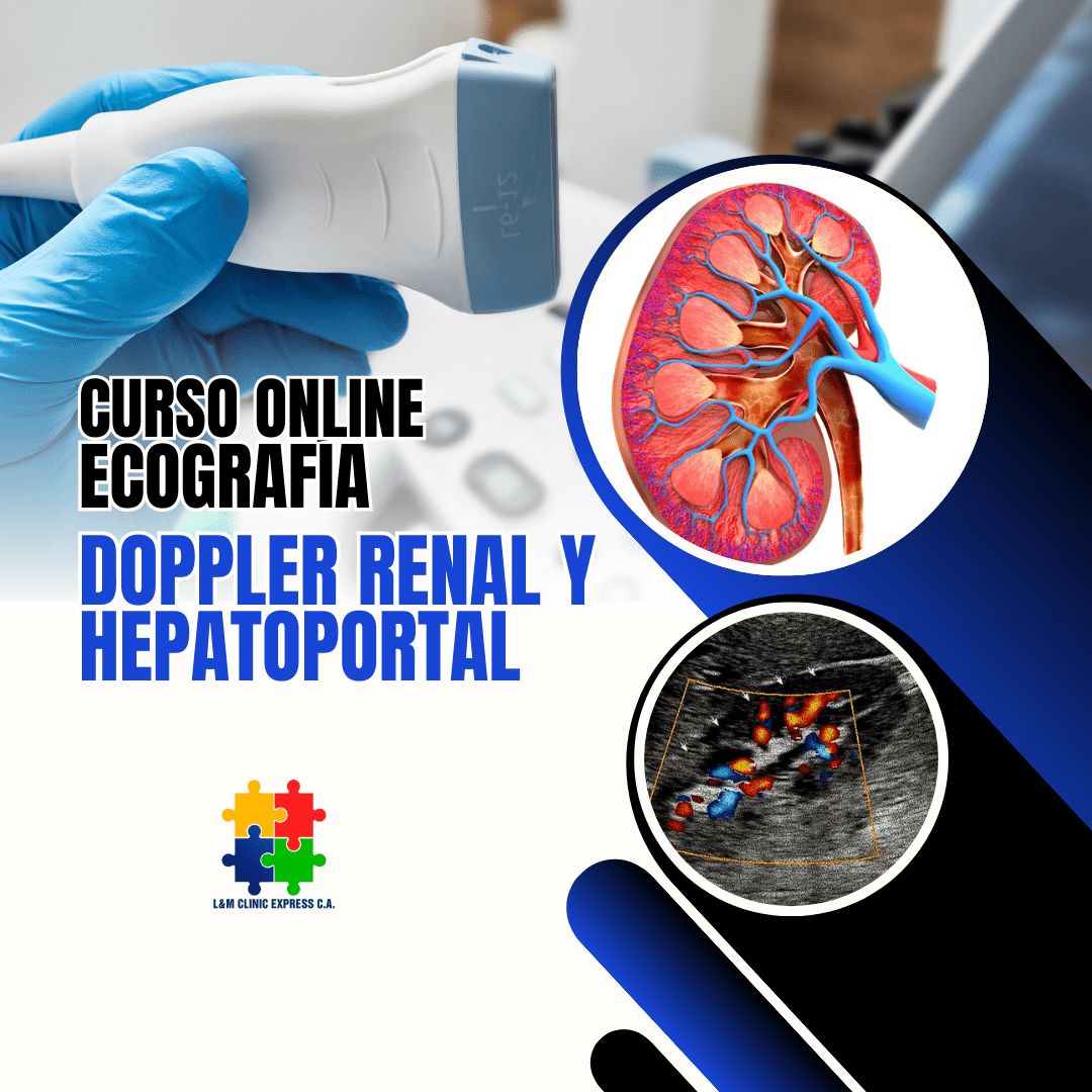 Material Teórico para el Curso de Ecografía Vascular Doppler Renal y Hepatoportal: Diagnóstico de Precisión y Guía Clínica para el Profesional de la Salud en Venezuela