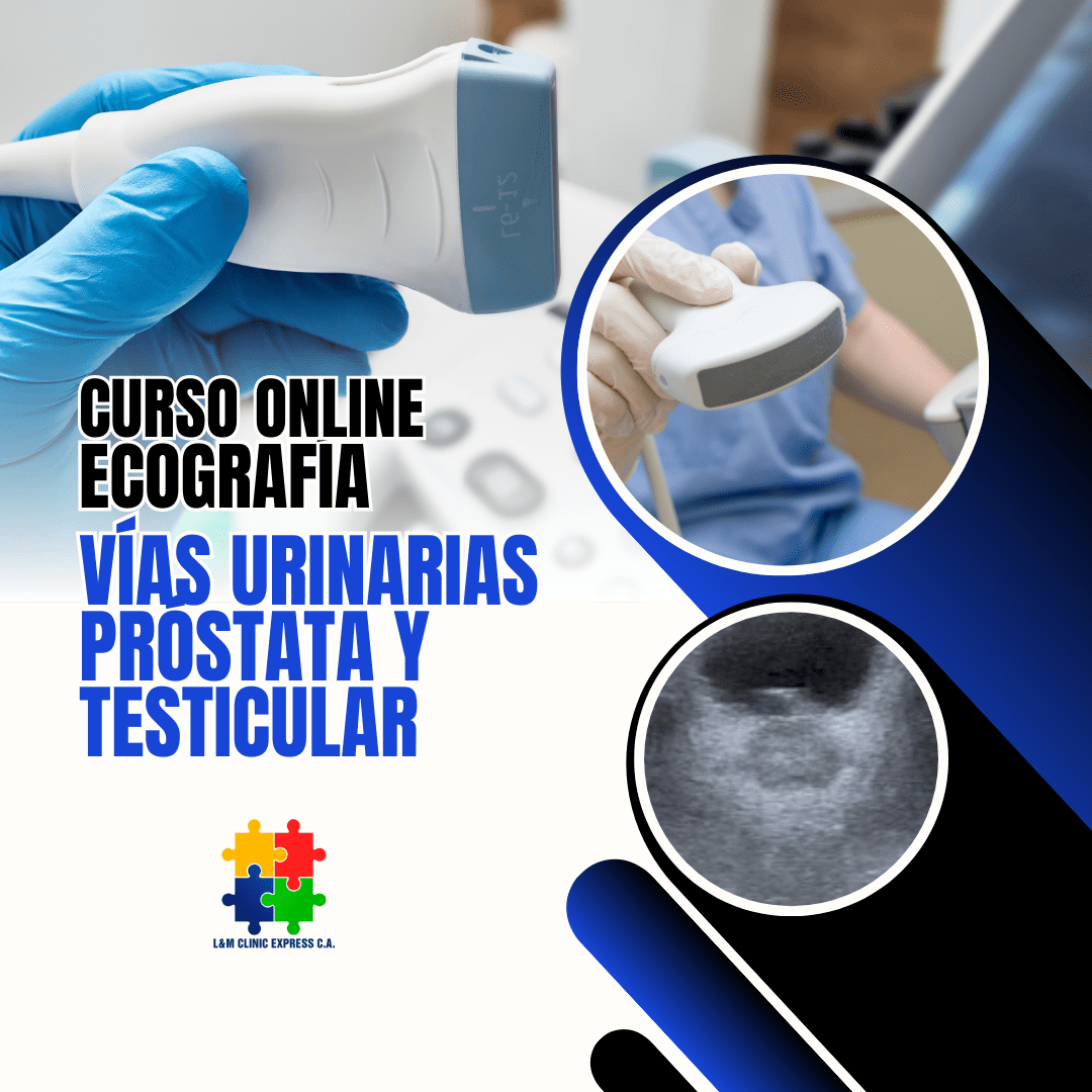 Material Teórico para el Curso de Ecografía de Vías Urinarias, Próstata y Testicular