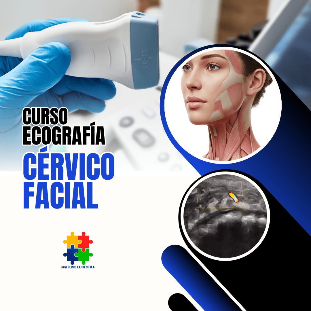 Curso de Ecografía Cérvico Facial
