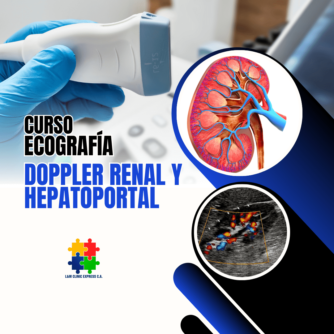 Curso de Ecografía Doppler Renal y Hepático Portal