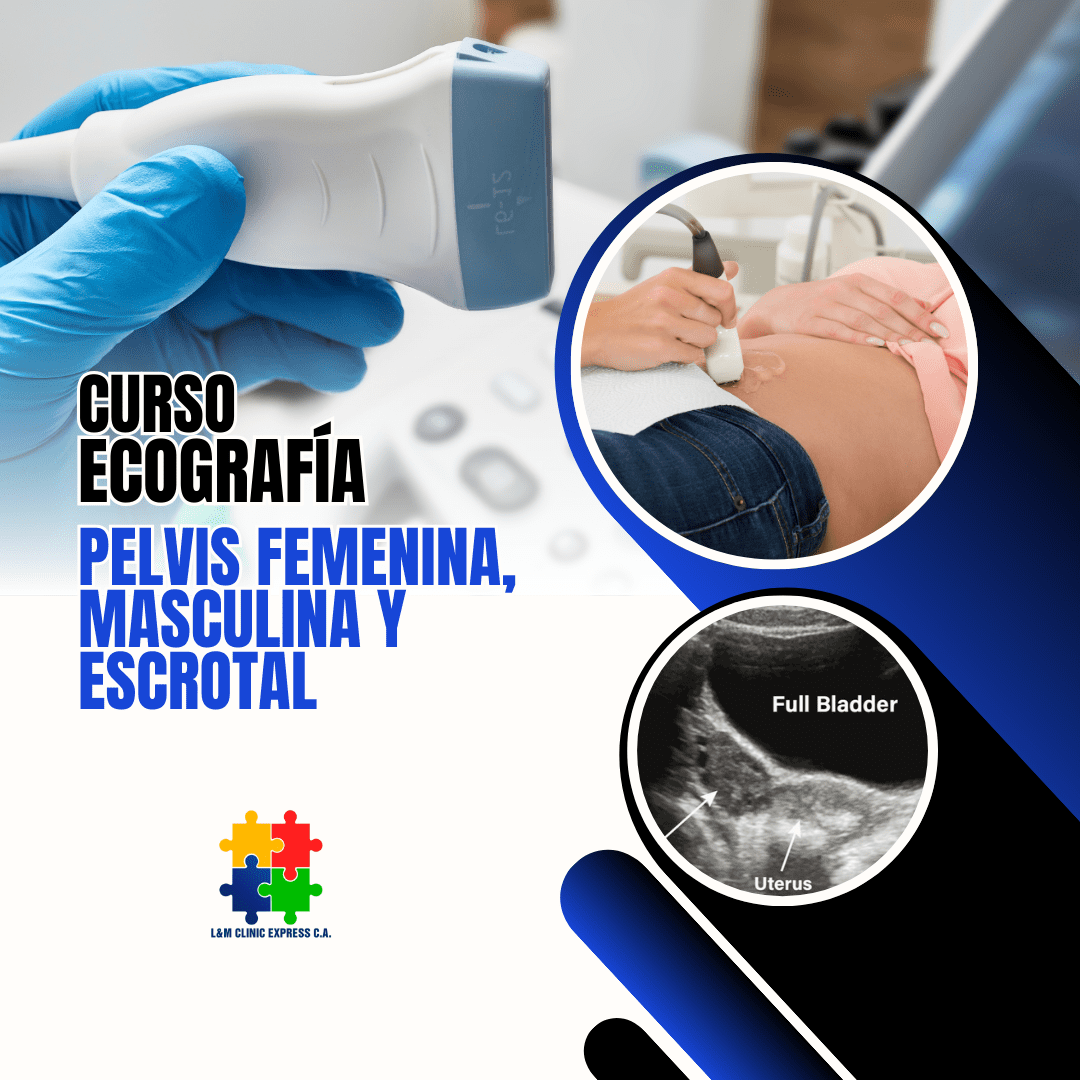 Curso de Ecografía Pelvis Femenina Pelvis Masculina y Escrotal