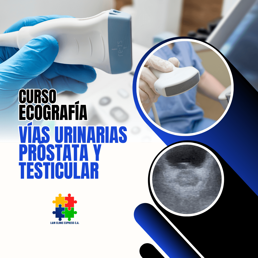 Curso de Ecografía de Vías Urinarias Próstata y Testicular