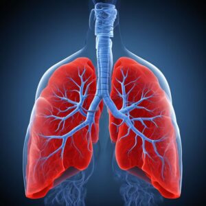 Material Teórico para el Curso de Ecografía Pulmonar y Pleural: Desde los Artefactos a la Clínica en Emergencias y UCI