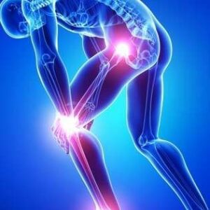 Material Teórico para el Curso de Ecografía Musculoesquelética de Miembros Inferiores: Diagnóstico Dinámico y Guía Intervencionista.
