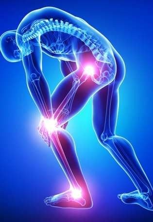 Material Teórico para el Curso de Ecografía Musculoesquelética de Miembros Inferiores: Diagnóstico Dinámico y Guía Intervencionista.