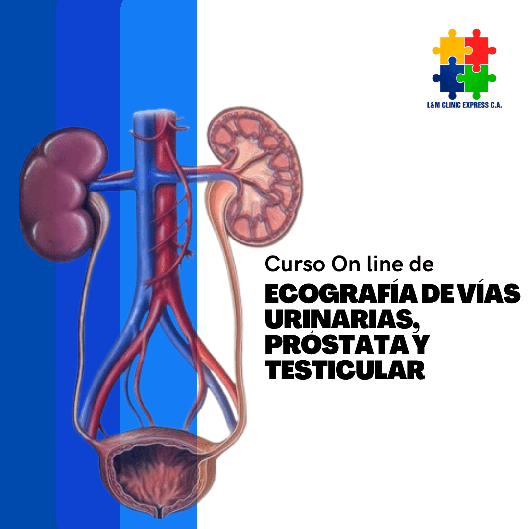 Curso on line de Ecografía de Vías Urinarias, Próstata y Testicular