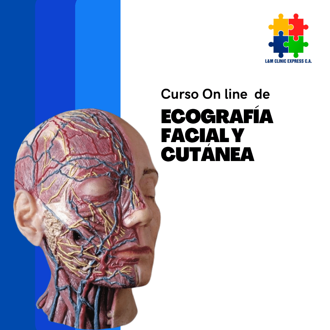 Curso On line de Ecografía Facial: Anatomía de Precisión, Diagnóstico de Complicaciones y Guía Intervencionista