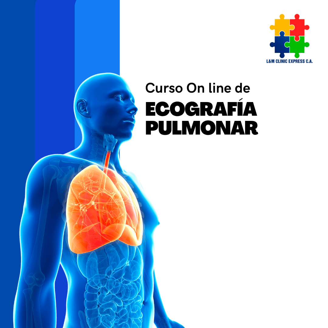 Curso On line Linea de Ecografía Pulmonar y Pleural: Desde los Artefactos a la Clínica en Emergencias y UCI