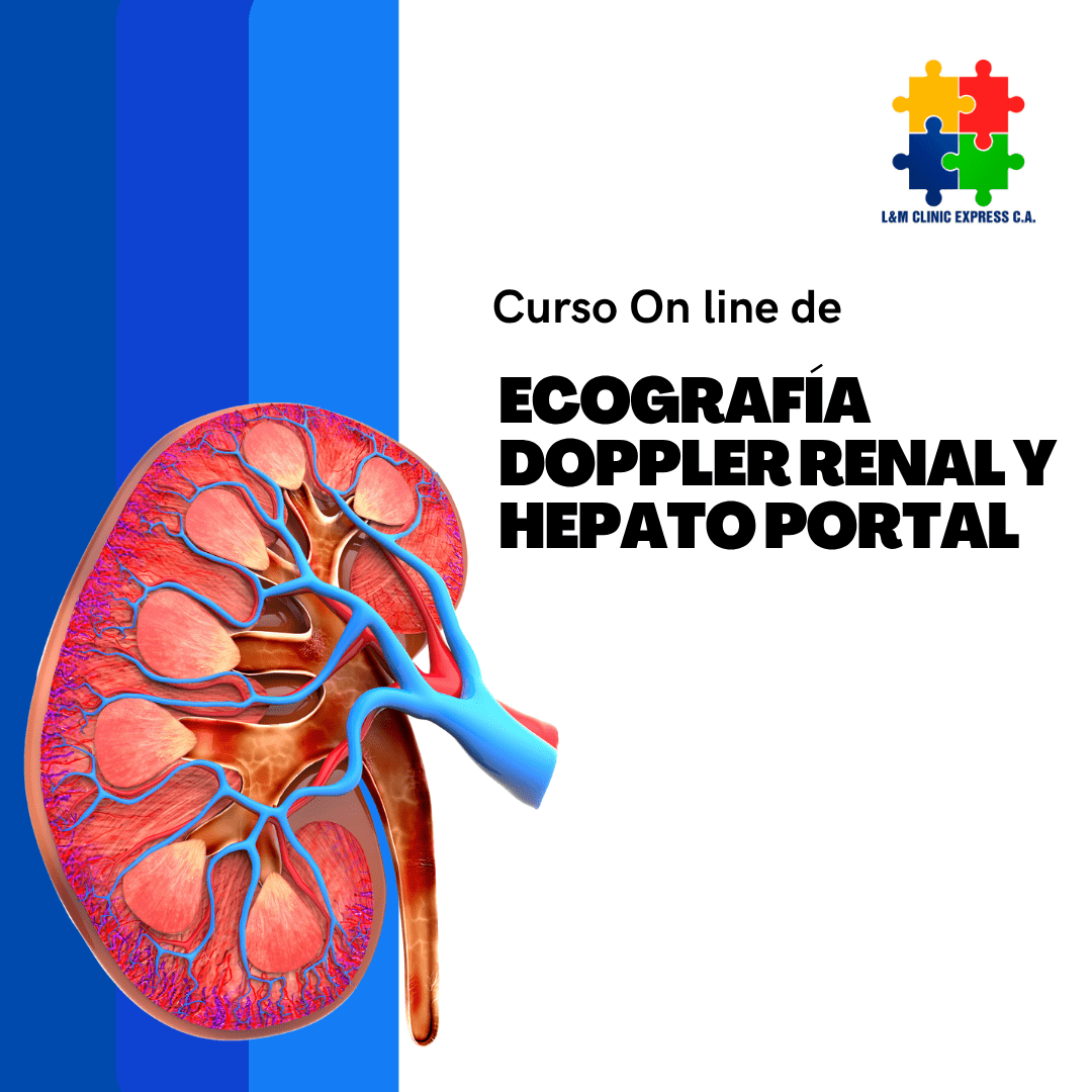 Curso On line de Ecografía Doppler Renal y Hepatoportal