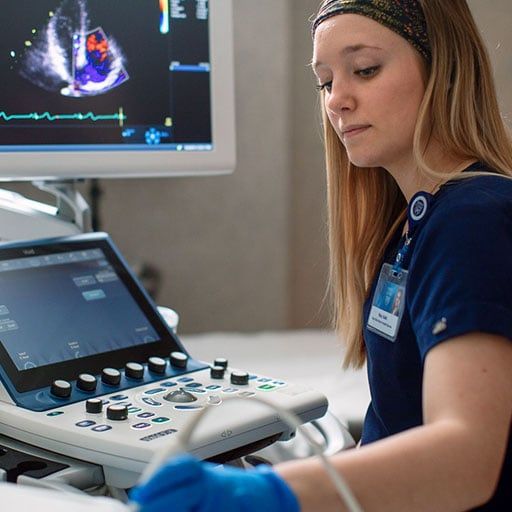 Material Teórico para el Curso Básico en Ecografía Doppler Obstétrica: Evaluación de Circulación Materna y Fetal para Bienestar y Riesgo